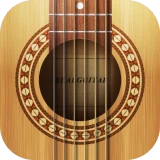 Real Guitar: acoustic electric icon