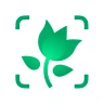 PictureThis -Planten Herkennen