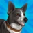 Pocket Paws: My lovely dogs icon