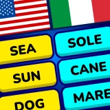 MomoLingo: anglais et plus icon