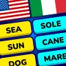 MomoLingo: anglais et plus