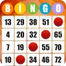 Bingo Absoluto