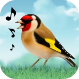 Sons d'oiseaux icon