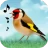 Sonidos de pájaros icon