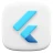 Flutter UI App Template icon