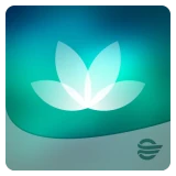 HealtheLife icon