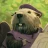 Everdell icon