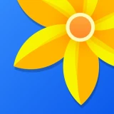 Gallery - Photo Gallery, Album icon