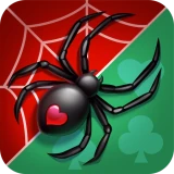 Spider Solitaire icon