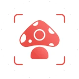 Picture Mushroom - Mushroom ID icon