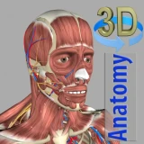3D Anatomy icon