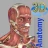 3D Anatomy icon