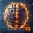 IQ Test: Logic Brain Training icon