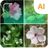 植物識別子