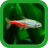 熱帯魚育成「ミニアクア」癒しのアクアリウム体験 icon