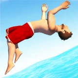 Flip Diving icon