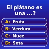 Millionaire - Quiz & Trivia icon