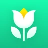 Plant Parent - Guía de cuidado