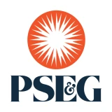 PSEG icon