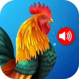 Animal Ringtones icon