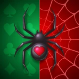 Spider Solitaire - Retro Card icon