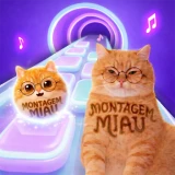 Cat Jump: Cute Pet Music Game icon