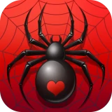Spider Solitaire Card Game icon