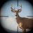 Trophy Hunter – Hunting Game icon