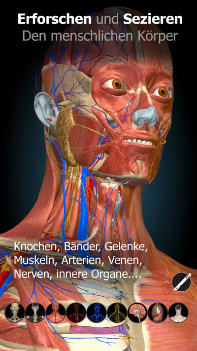 Anatomy Learning - 3D-Anatomie screenshot 1