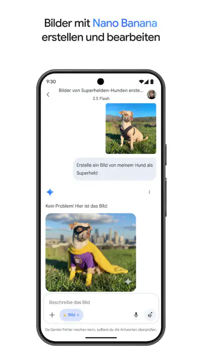 Google Gemini screenshot 1
