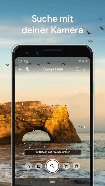 Google Lens screenshot 1