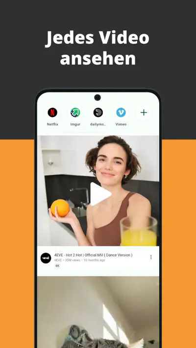Video Browser screenshot 1