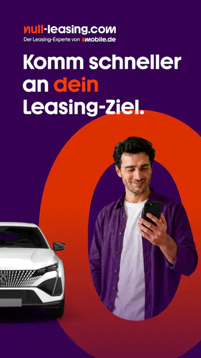 Null-Leasing.com screenshot 1