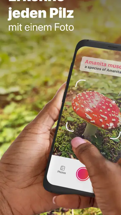Picture Mushroom - Pilzführer screenshot 1