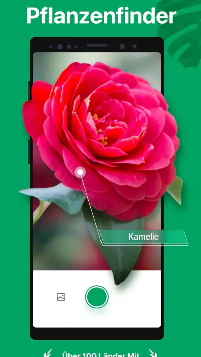 PictureThis:Pflanzen bestimmen screenshot 1