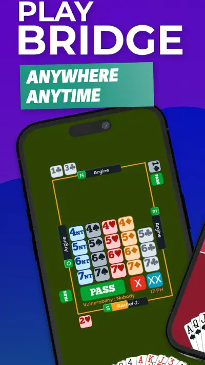 Fun Bridge screenshot 1
