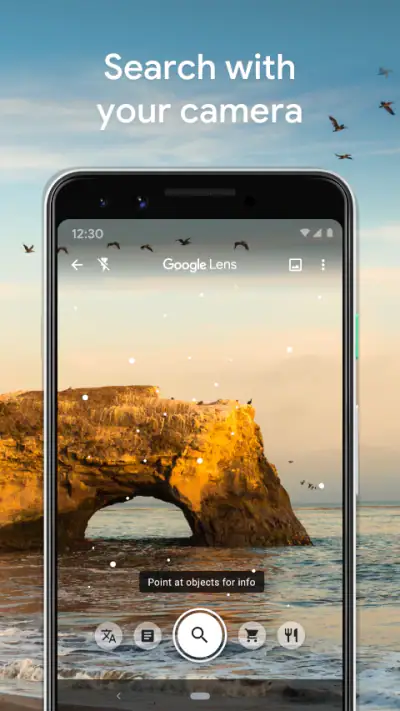 Google Lens screenshot 1