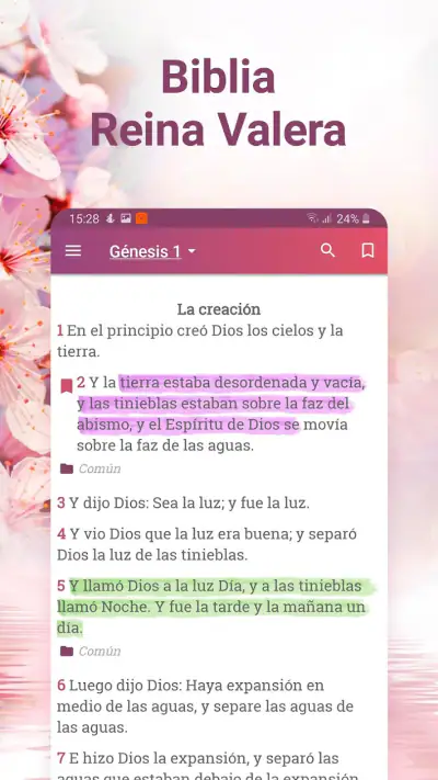 Holy Bible Reina Valera 1960 screenshot 1