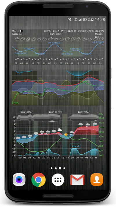 Meteogram Pro Weather Widget screenshot 1
