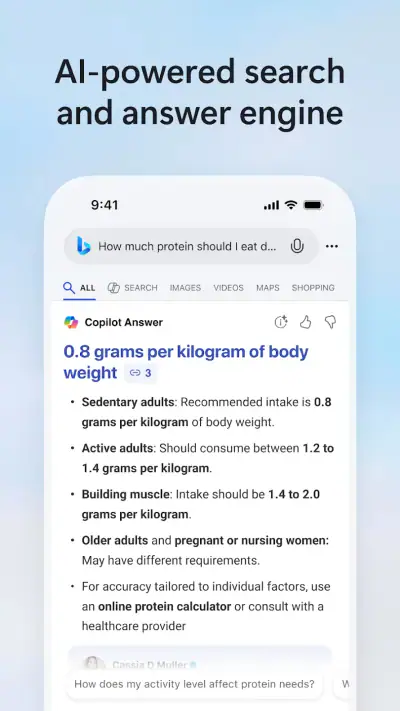 Microsoft Bing Search screenshot 1