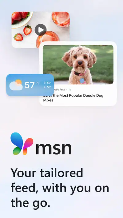 MSN screenshot 1
