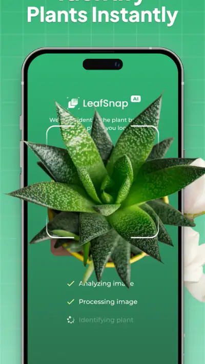 Plant Identifier: LeafSnap screenshot 1
