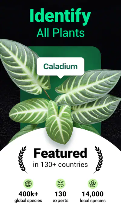 Plantum - Plant Identifier screenshot 1