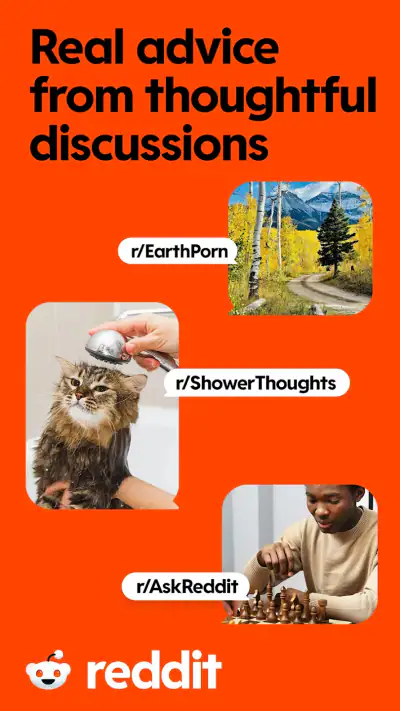 Reddit screenshot 1
