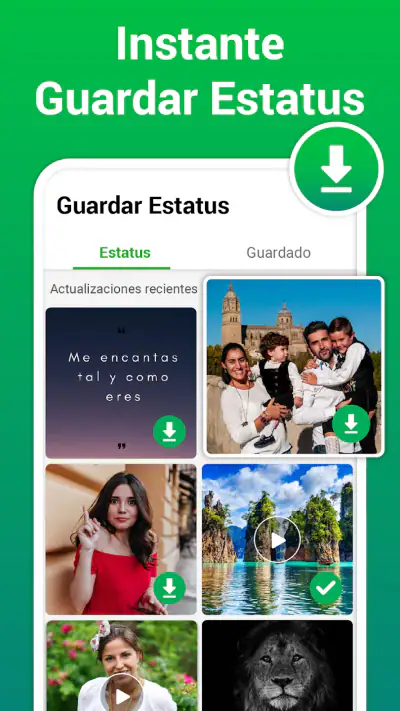 Descargador de Estados y Video screenshot 1