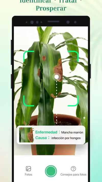 Plant Parent - Guía de cuidado screenshot 1