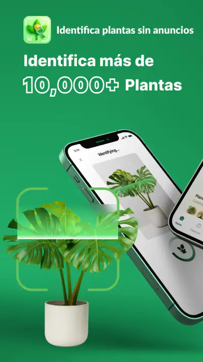 Reconocimiento De Plantas App screenshot 1