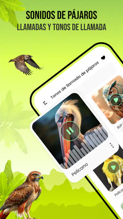 Sonidos de pájaros screenshot 1