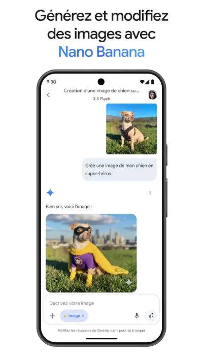 Google Gemini screenshot 1