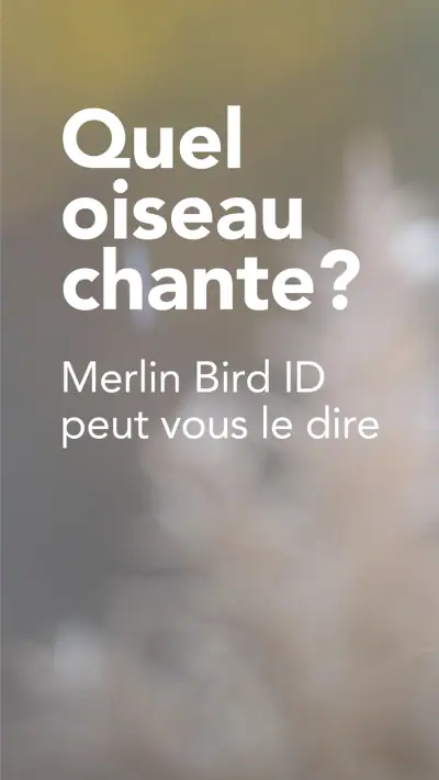 Merlin Bird ID par Cornell Lab screenshot 1